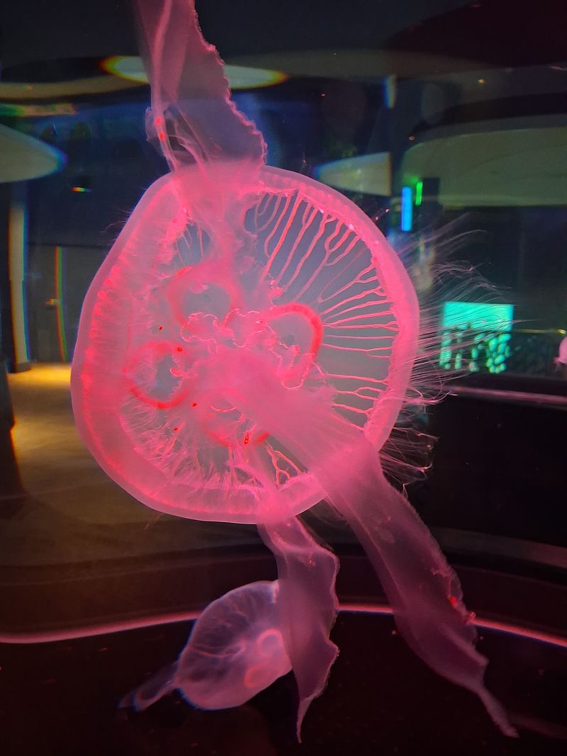 Splash Pad Light Show