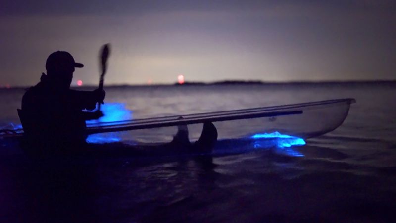 Florida Adventurer: Bioluminescent Kayaking Cocoa Beach