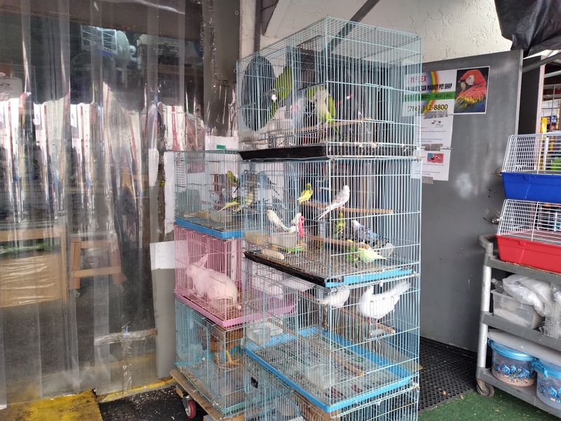 Exotic Birds and Pet Paradise