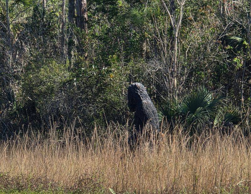 A Welcoming Atmosphere That Celebrates Florida's Weird Side