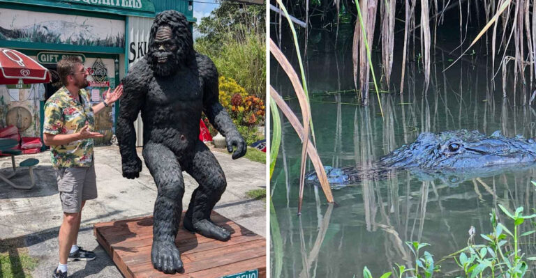 Florida Has an Official Bigfoot Headquarters Hiding Along the Tamiami Trail