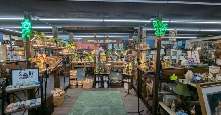 From Handmade Crafts to Unexpected Treasures, This Florida Market Has It All