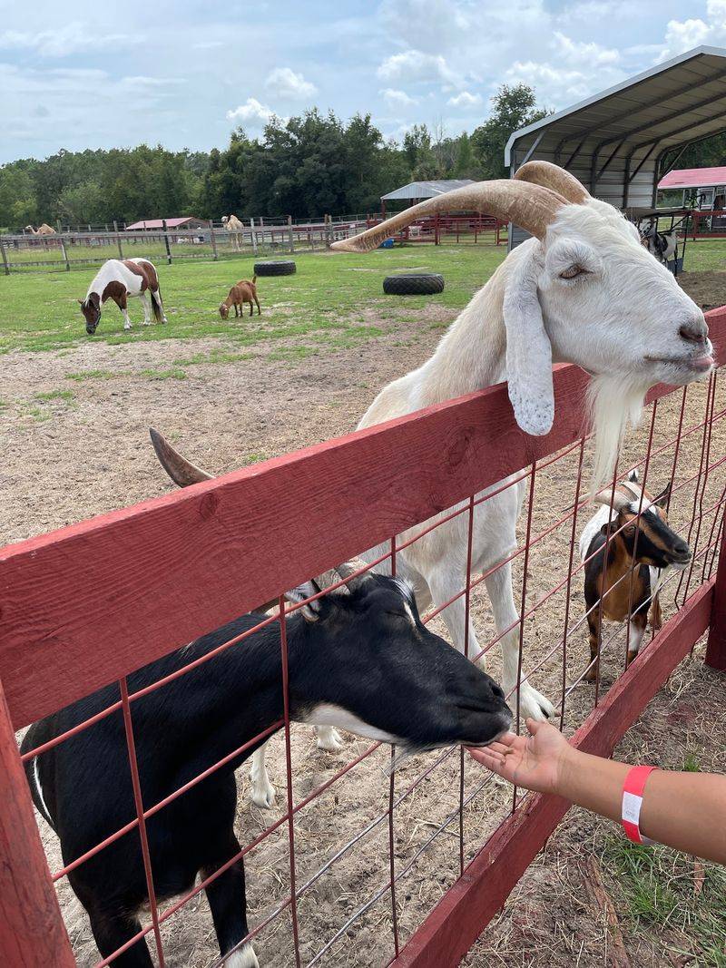 Affordable Admission Makes Weekday Trips Easy