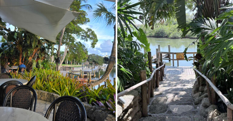 Giant Banyan Trees Turn Dinner at This Florida Restaurant Into a Tropical Escape