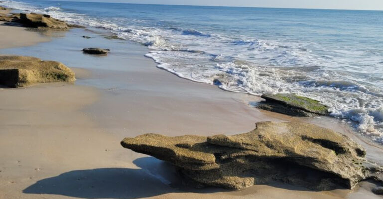 It Kills Me That Families Skip These 10 Cheap Florida Adventures