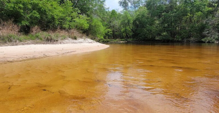 It Looks Like Someone Poured Gold Into This Florida Panhandle River