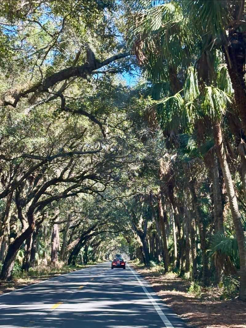 Old Florida Vibes You Won't Find Anywhere Else