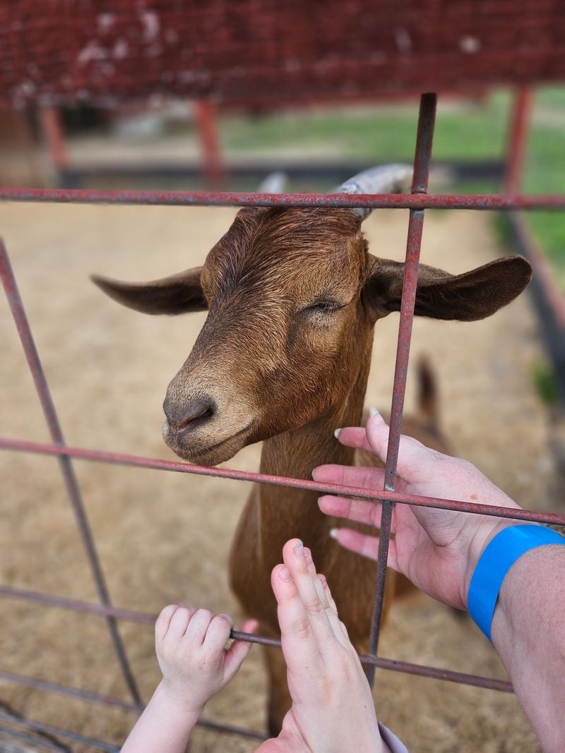 Hand-Feeding Creates Unforgettable Memories