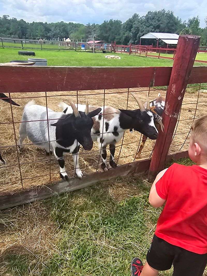 More Space to Roam and Connect With Animals