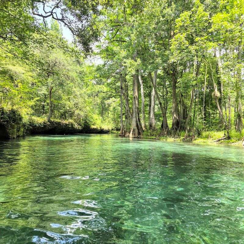 Turtle-Watching Paradise Along Every Bend