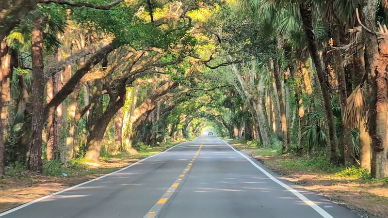 A Living Tunnel That Takes You Back in Time