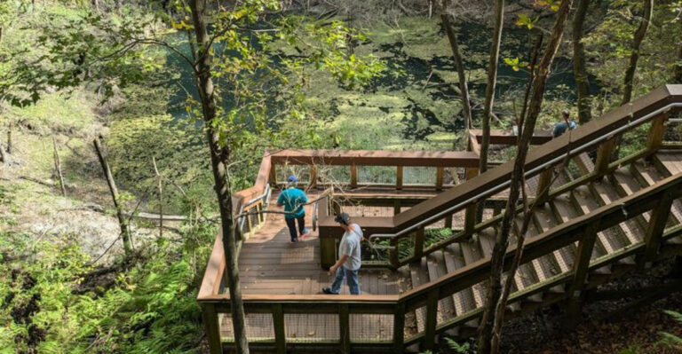 People Pay $100 for a Florida Day Out When These 11 Adventures Cost Under $20