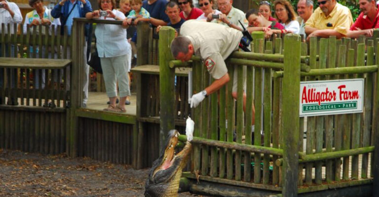 Plan to Spend the Whole Day at This One-of-a-Kind Florida Attraction