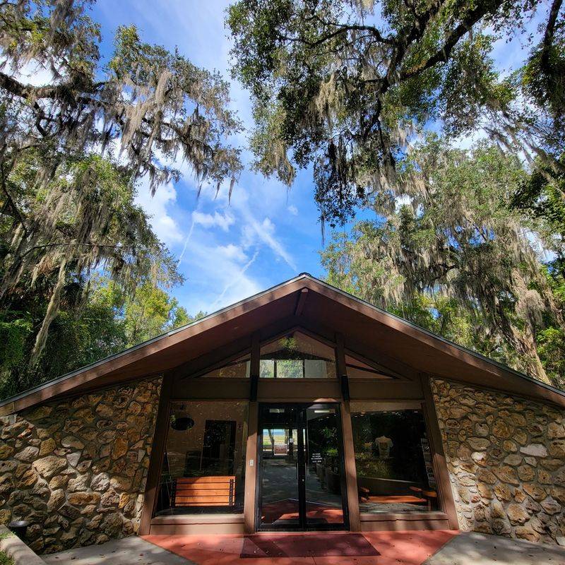 Nearby Micanopy's Old Florida Charm and Local Eats