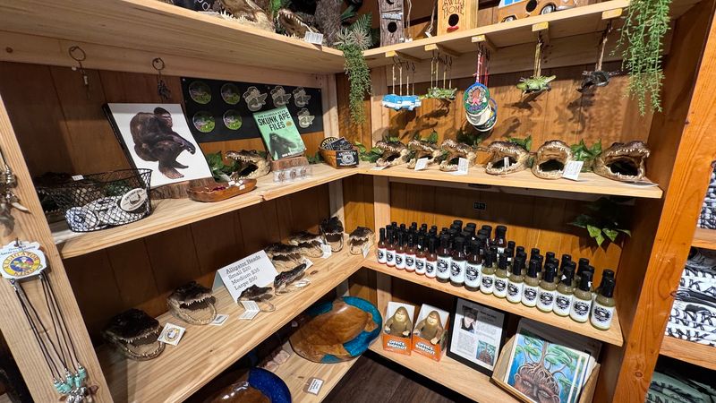 Evidence and Exhibits That Spark Imagination