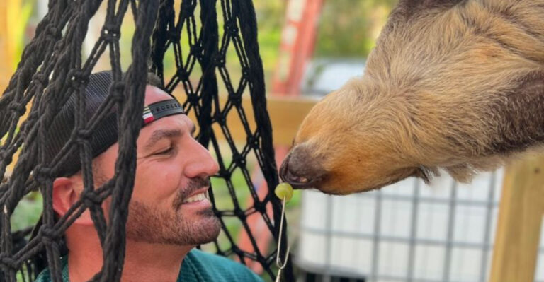 There’s A Small Ranch Near Tampa Where You Can Get Surprisingly Close To Sloths