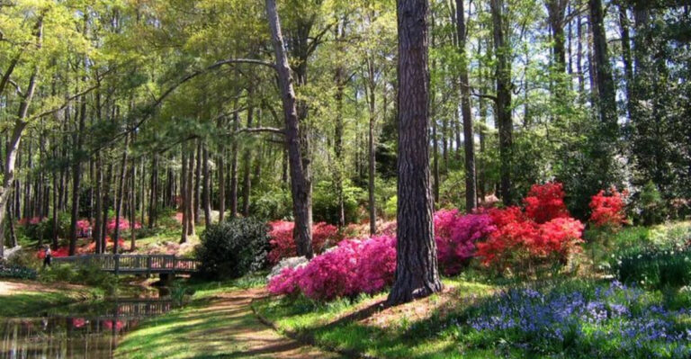 This 47-Acre Florida Garden With Butterfly Trails Feels Straight Out Of A Fairytale