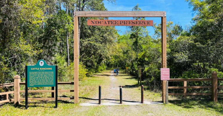This 7-Mile Florida Trail Might Be One Of The Best Ways To Experience Old Florida