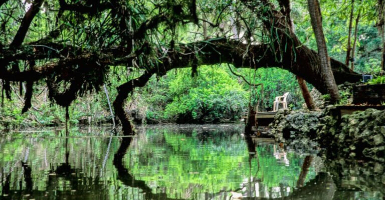 This Enchanting Florida Park Has Bamboo Tunnels, River Views, and a Mysterious Past