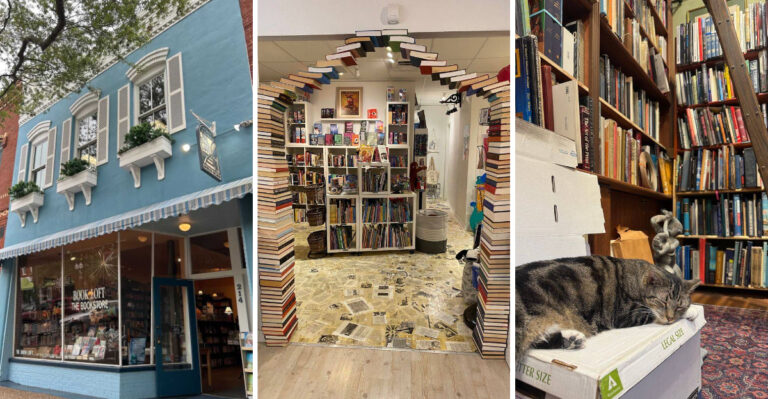 This Enchanting Florida Road Trip Takes You To 9 Bookstores That Feel Straight Out Of A Story