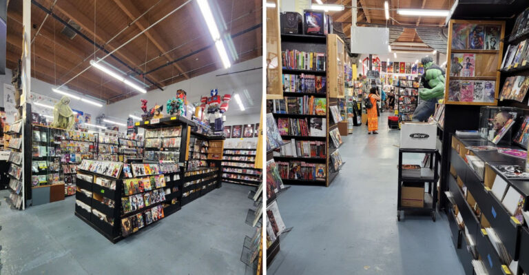 This Family-Run Florida Shop Is a Wonderland of Comics, Manga, and Designer Toys