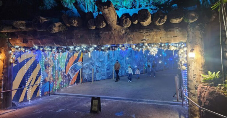 This Florida Aquarium Transforms Into an Underwater Wonderland After Dark