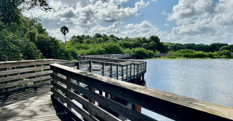 This Florida Boardwalk Winds Through Cypress Swamps, Marshes, and an Actual Alligator Hole