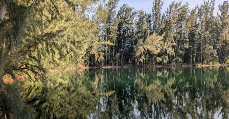 This Florida Park Flies Under the Radar—and That’s Exactly Why You Should Go