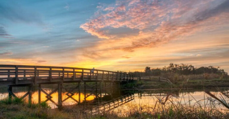 This Florida Trail Disappears Into a Mangrove Forest Before Opening Up to a Gorgeous Sunset