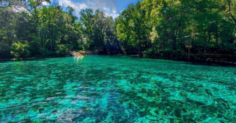 This Gorgeous Florida Spring Has Clear Water, River Views, and Almost No Stress