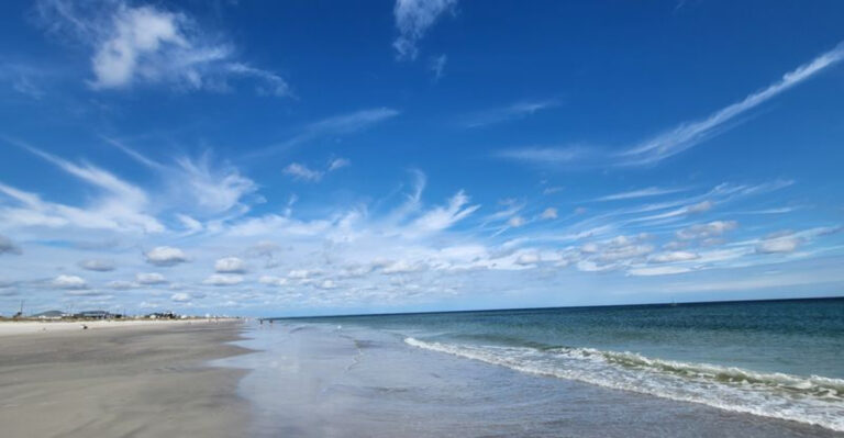 This Hidden Florida Beach Has Free Parking, Quiet Shores And Fossilized Shark Teeth
