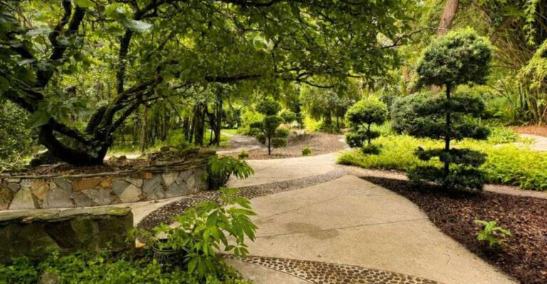 This Hidden Florida Garden Has 22 Gorgeous Gardens and Won’t Cost You a Dime