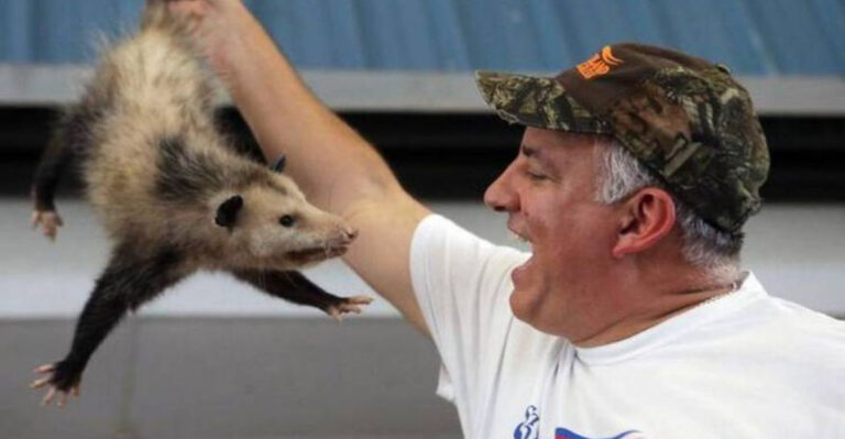 This Old-Fashioned Florida Fair Turns One Tiny Town Into a Summer Hotspot