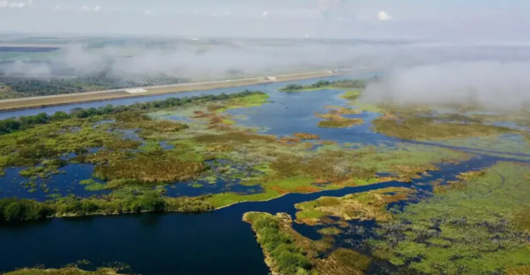 This Once-Peaceful Florida Lake Is Now at the Center of a Heated Debate
