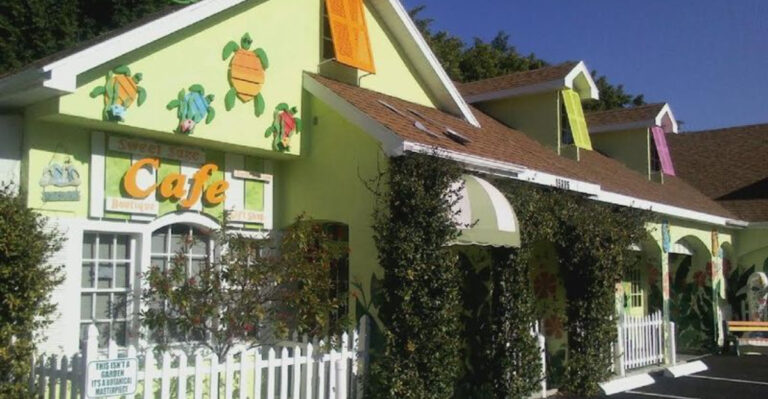 This Quirky Florida Cafe Is Worth Driving Across the State For