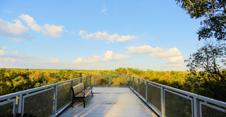 This Secret Florida Overlook Has A View That Looks Almost Too Beautiful To Be Real