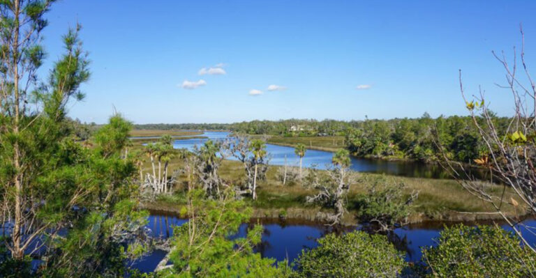 This Secret Florida Spot Has Miles of Trails, Hidden Views, and Almost No Crowds