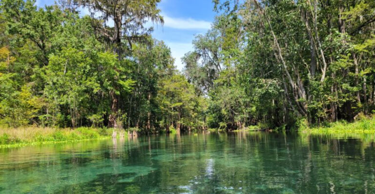 This Spring-Fed Florida River Is the Ultimate Old-School Summer Tubing Escape