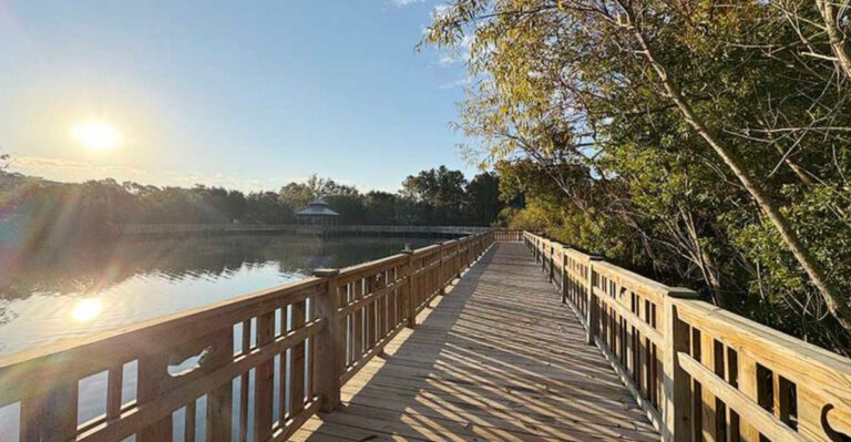 Tucked Behind A Library, This Florida Park Feels Like A Secret Storybook Escape