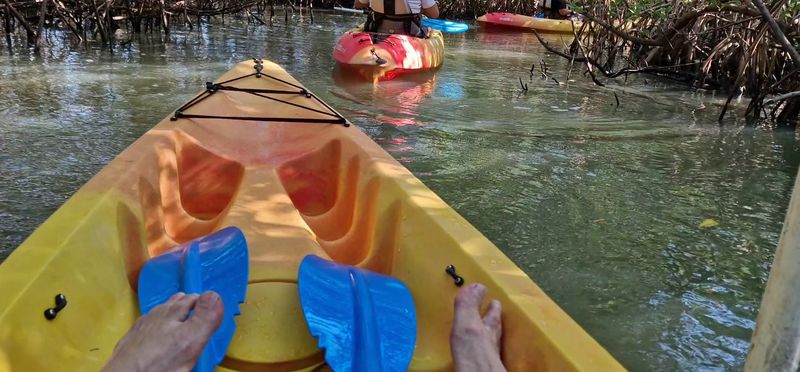 Adventure Kayak of Cocoa Beach