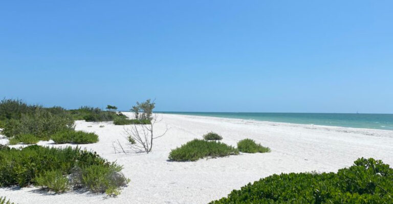 Wading Through This Tiny Florida Lagoon Leads To A Secret Wild Beach