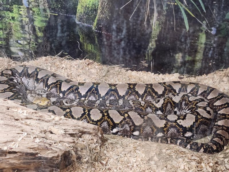 Camping That Captures Real Everglades Experience