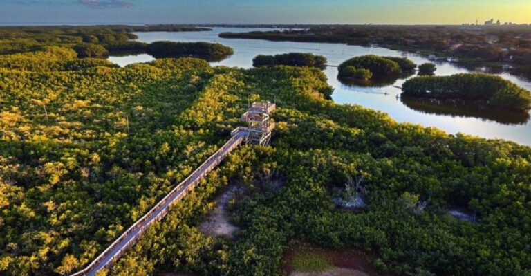 You Haven’t Really Seen Florida Until You’ve Walked These 10 Trails