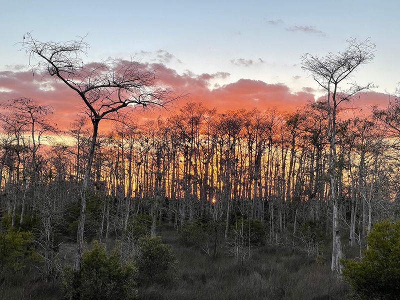Stargazing That Rivals Professional Observatories