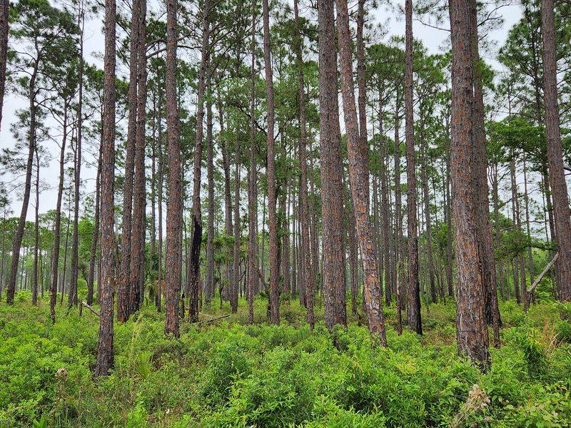 Miles of Scenic Hiking and Biking Trails