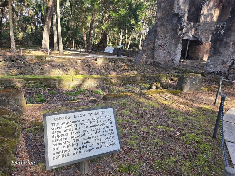 The Tabby Slave Cabins Hidden in the Woods