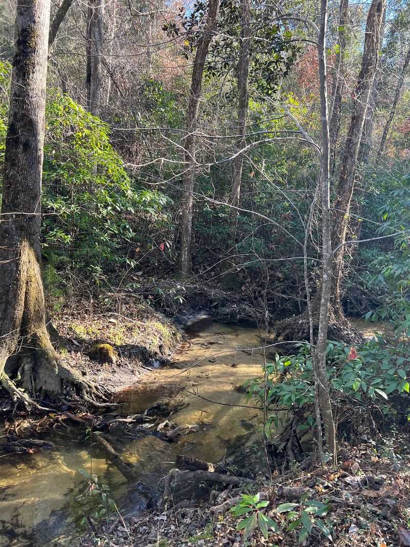 Garden of Eden Trail - Bristol