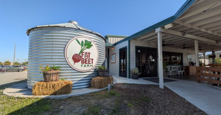 10 Florida Farm-to-Table Restaurants You Should Definitely Visit in 2026