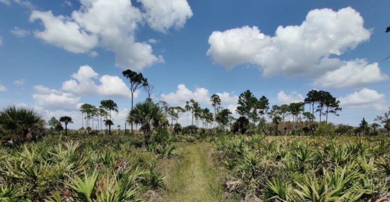 10 Florida Hikes That Prove There’s More to the State Than Beaches
