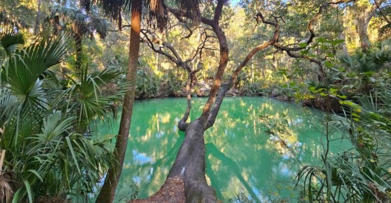 10 Orlando Day Trips That Cost Less Than $10